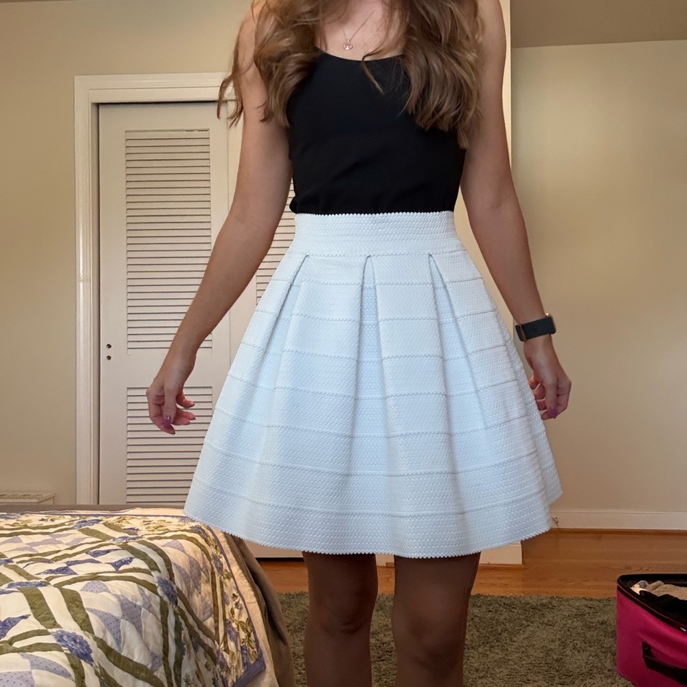 Express A-Line Skirt